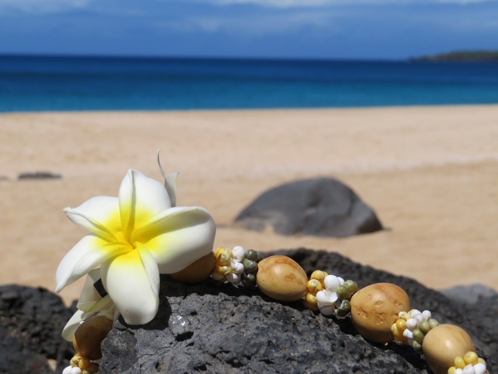 Deine Glücksreise nach Hawai'i 2024